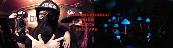 ешки Новокубанск